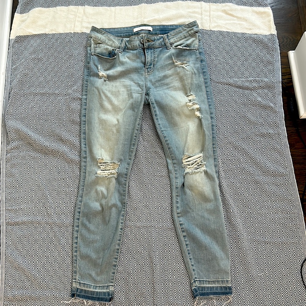 Eugene Low Rise Skinny Crop Jeans